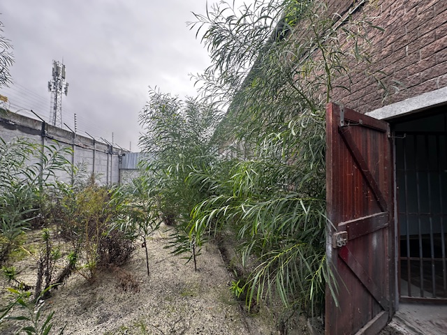 To Let Commercial Property for Rent in Athlone Industrial Western Cape